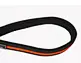 dog lead dog leash