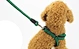 harness lead