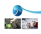 tennis ball launcher for dogs