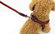 rope with lead providers