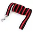 dog lead dog leash