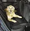 disposable car seat protection