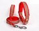dog collar and lead
