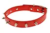 studded dog collar