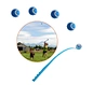 tennis ball launcher for dogs