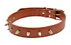 studded leather dog collar
