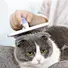 grooming slicker brush