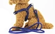 rope with lead