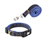 dog lead and collar