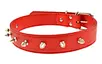 studded leather dog collar