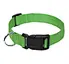 dog lead collar
