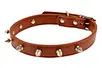 studded dog collar