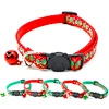 dog collar or cat collar