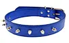 studded leather dog collar