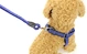 rope with lead