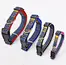 dog lead and collar