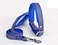 dog collar and lead