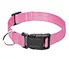 dog lead collar