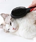 double sided pet brush