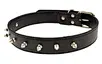 studded leather dog collar