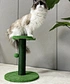 cat tree pet tree
