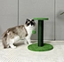 cat tree pet tree