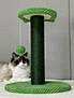 cat tree pet tree