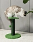 cat tree pet tree
