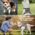 pet harness vest