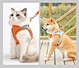 pet harness