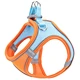 pet harness
