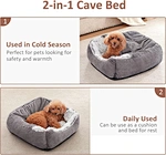 kennel