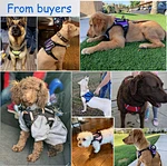 pet harness vest