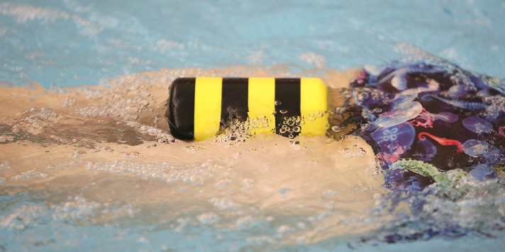 swimming pull buoy float