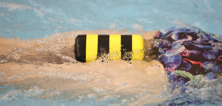swimming pull buoy