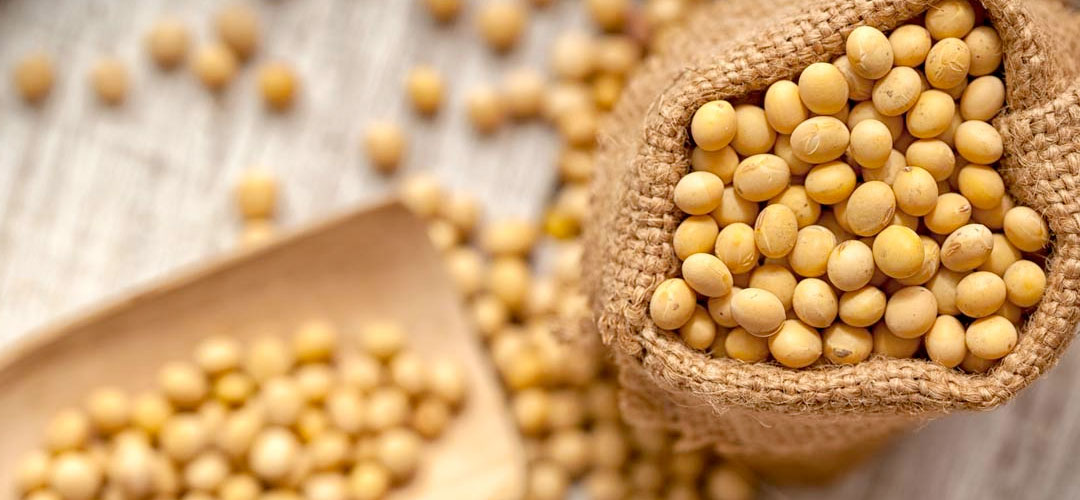 ما هو isoflavones الصوي
