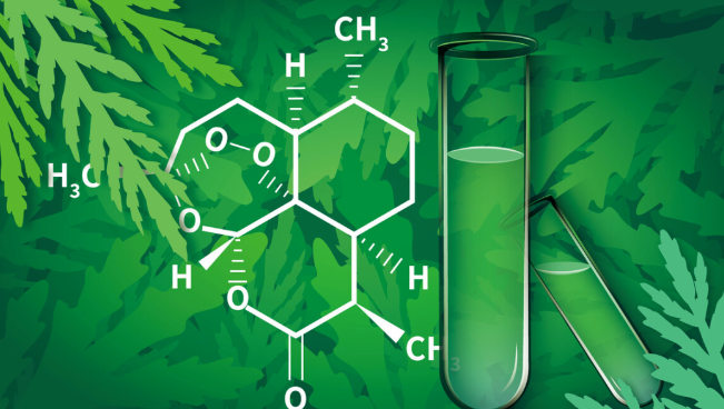 How Does Artemisinin Treat Malaria