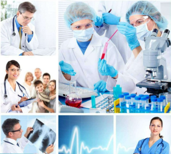 What is Amphotericin B used for