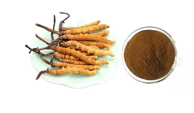 The manufacturing process of Cordyceps sinensis