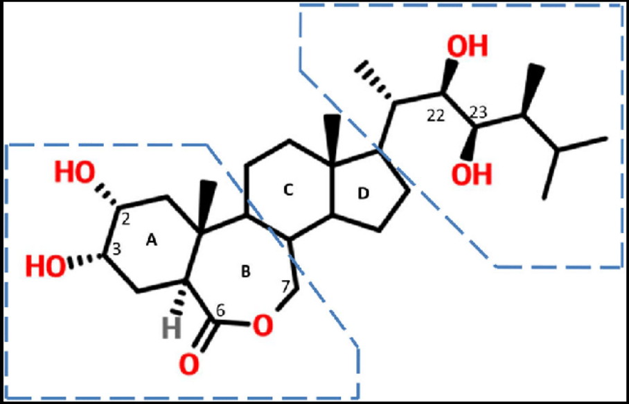 Brassinolide
