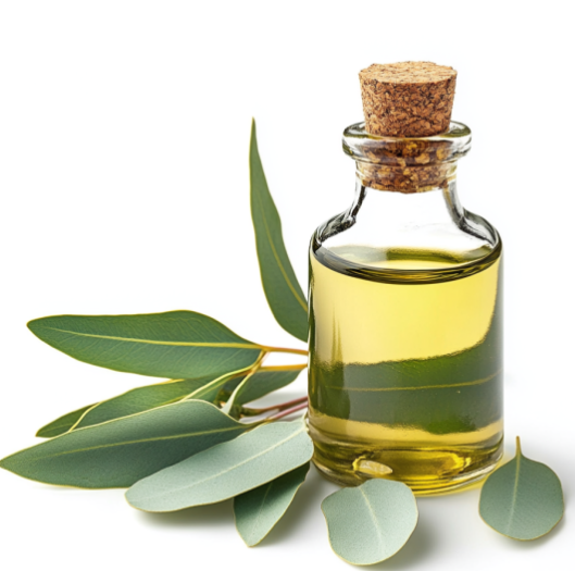 What is Eucalyptus Oil