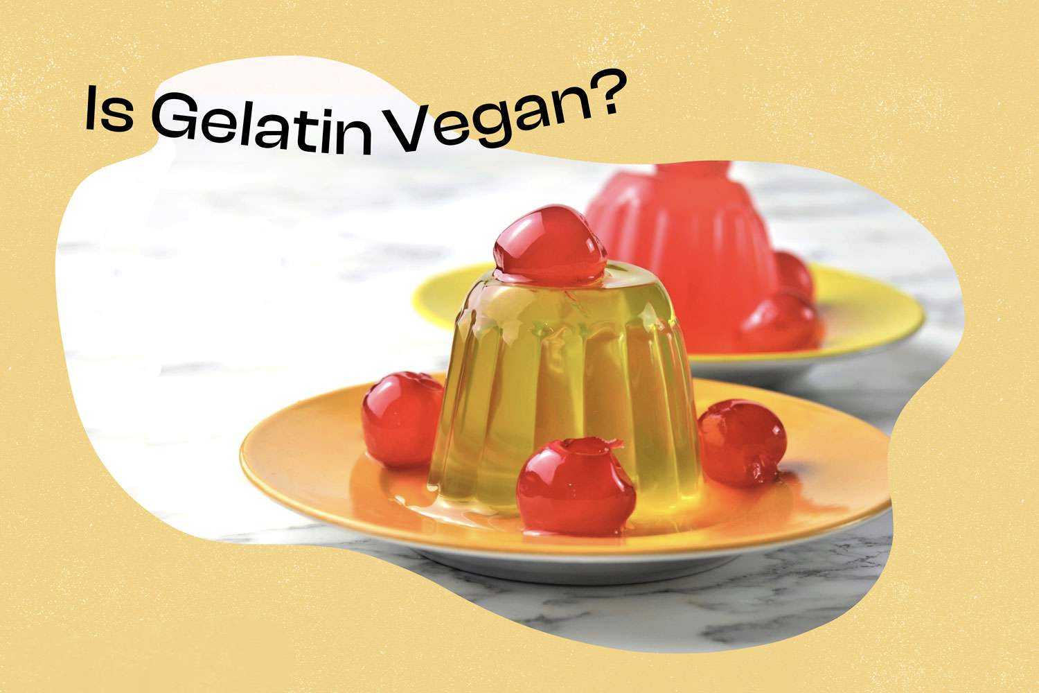 What is gelatin made of