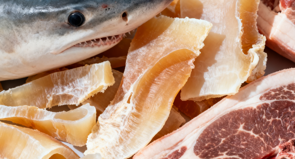 What Foods Have Chondroitin Sulfate?