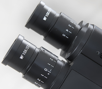 comparison microscope parts: Large Binocular Head