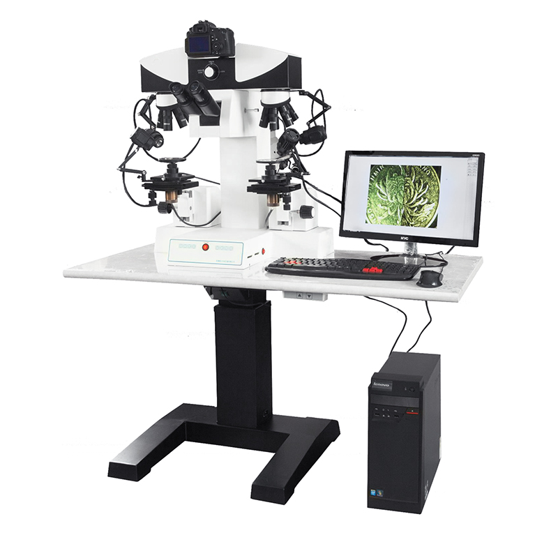 compound comparison microscope