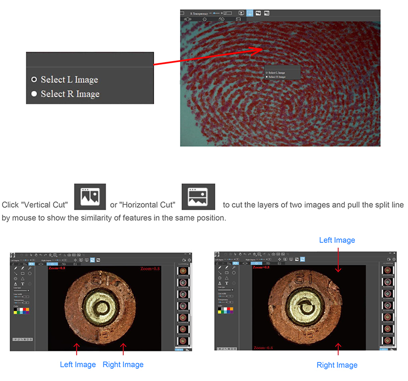 comparison microscopes software interface