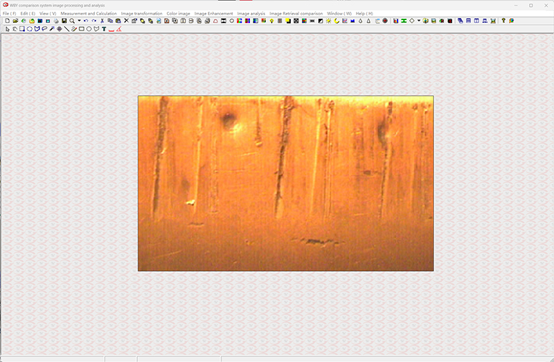 Fornesic Analysis Software Used in Forensic Microscopes Science