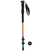nordic walking poles