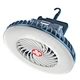 Fan lantern