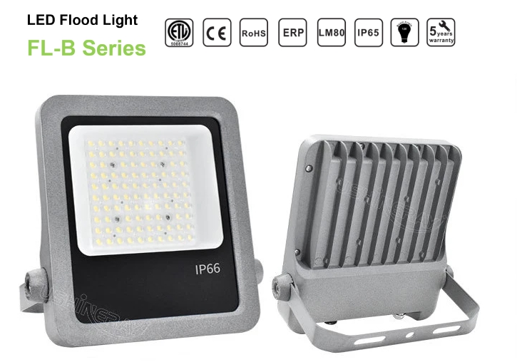 led high quality SMD flood light